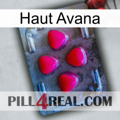Top Avana 13